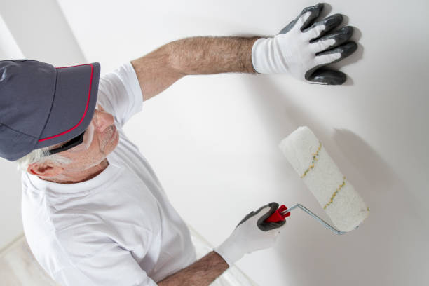 Best Post-Construction Mold Inspection  in Wanamingo, MN