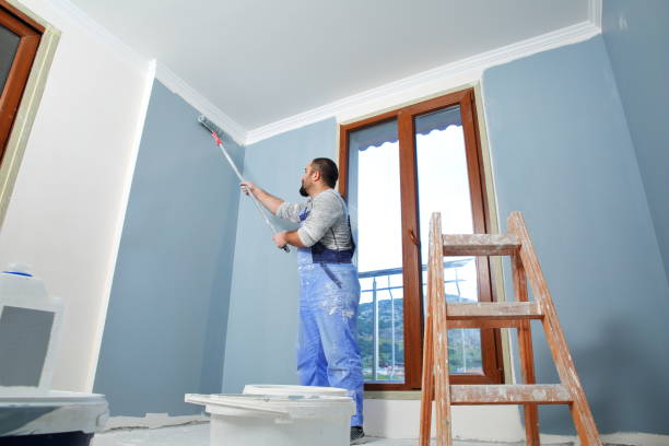 Wanamingo, MN Mold Removal Company