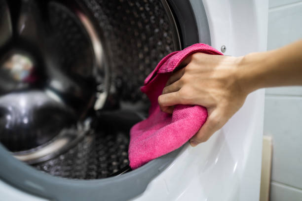 Best Mold Prevention Services  in Wanamingo, MN