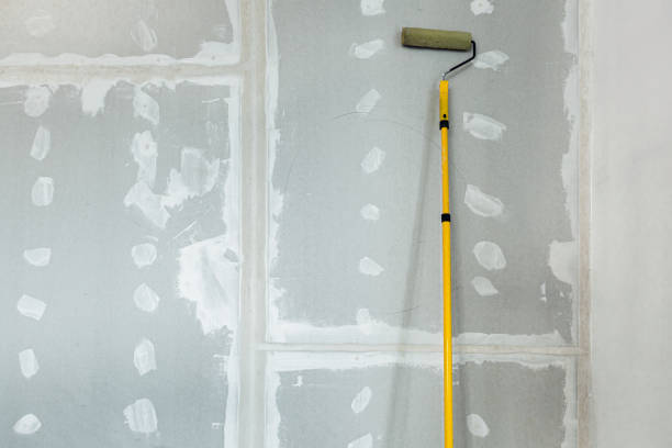 Best Airborne Mold Testing  in Wanamingo, MN
