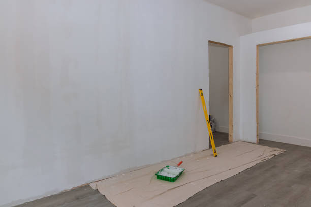 Best Basement Mold Removal  in Wanamingo, MN