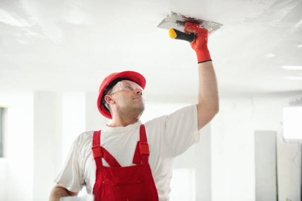Best Mold Documentation for Insurance Claims  in Wanamingo, MN