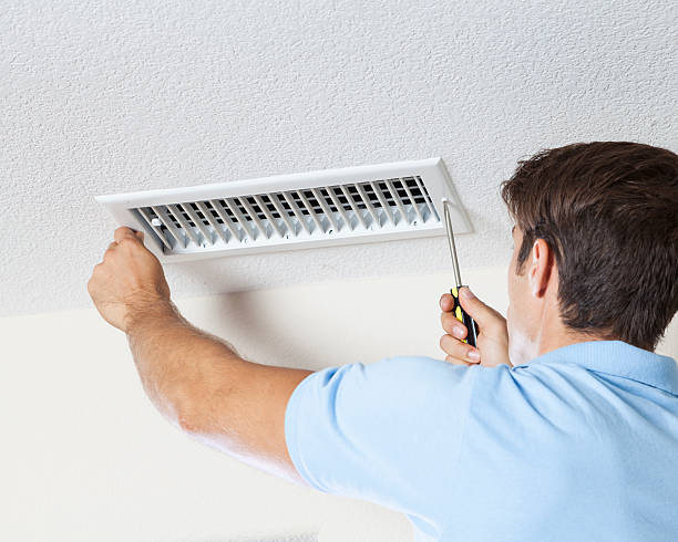 Best Mold Removal for HVAC Installations  in Wanamingo, MN