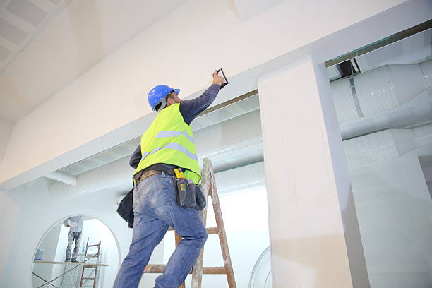 Best Emergency Mold Remediation  in Wanamingo, MN