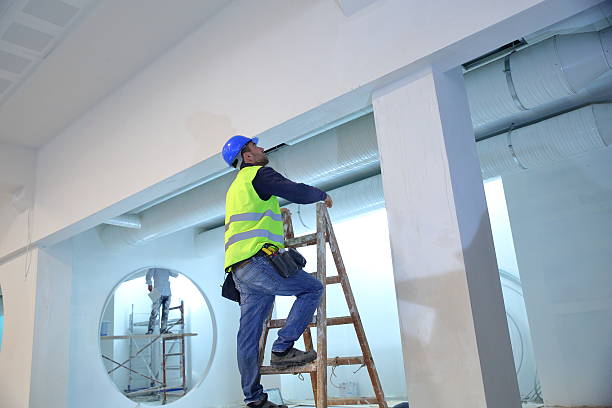 Best Post-Remediation Verification Testing  in Wanamingo, MN